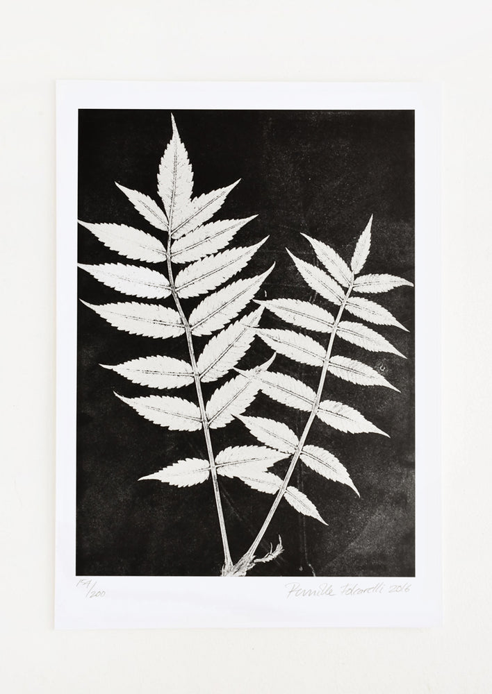 1: A botanical art print featuring white silhouette of sumac leaves on black background.