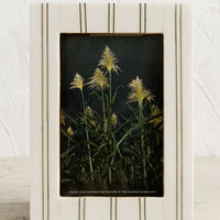 1: An ivory resin picture frame with vertical brass ticking stripe detail.