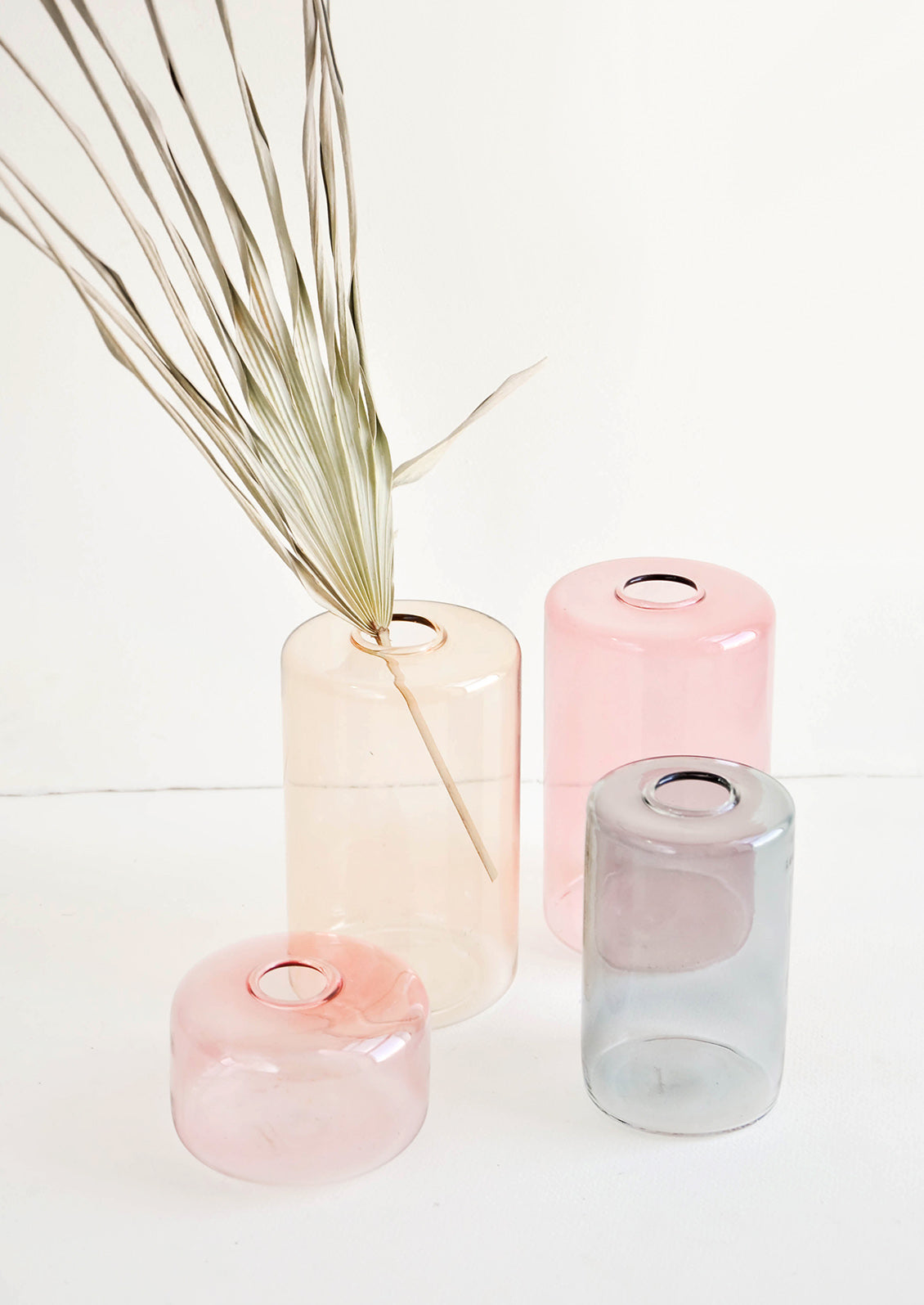 An assortment of colored glass flower vases shown with decorative palm leaf