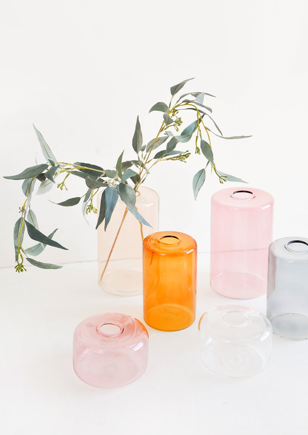 1: Multiple clear colored glass vases in a variety of colors, displayed with eucalyptus branch