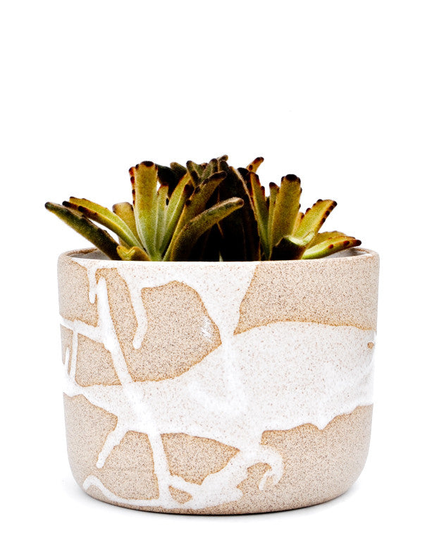wabi sabi indoor plants Wabi Sabi Planter