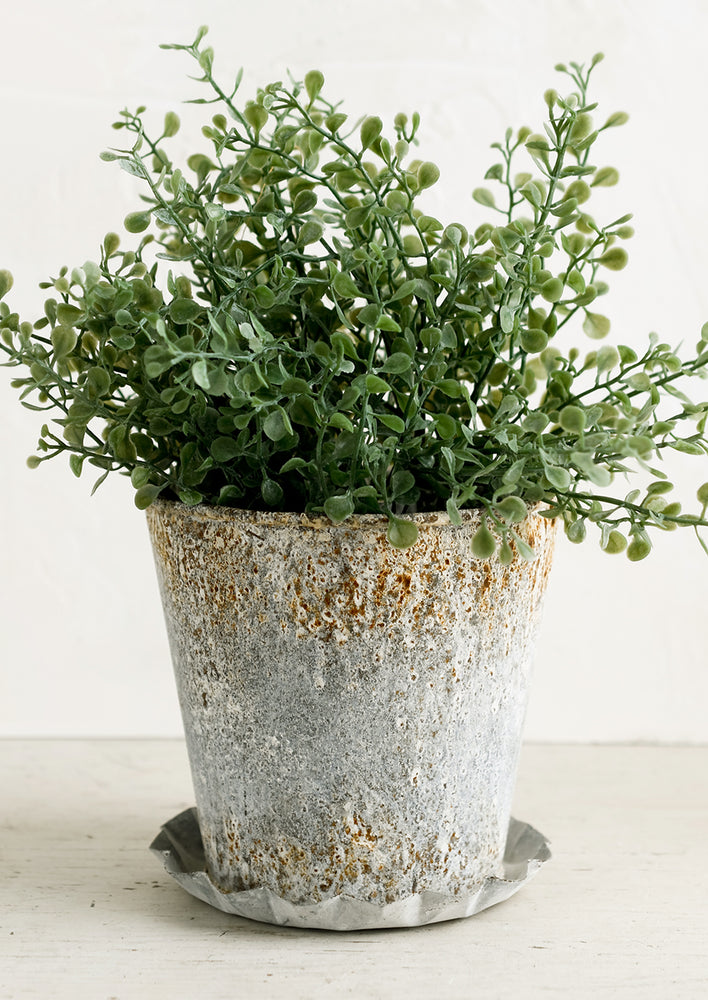 Weathered Patina Planter hover