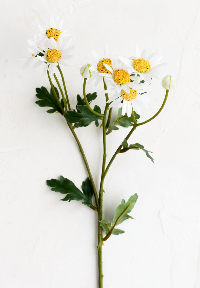 1: A stem of faux daisies.