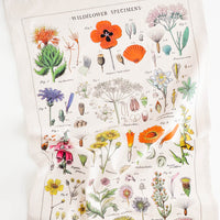 1: A cotton tea towel with botanical wildflower species printed in color.