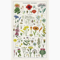 2: A cotton tea towel with botanical wildflower species printed in color.
