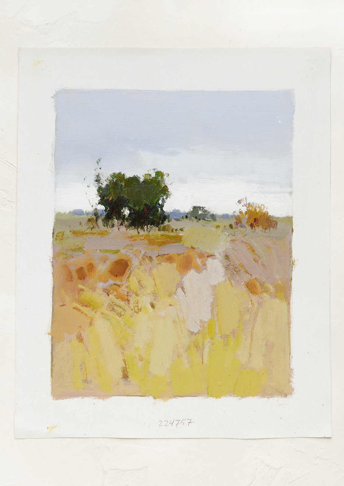 Overcast In The Morning Original LEIF overcast-in-the-morning-original-leif
