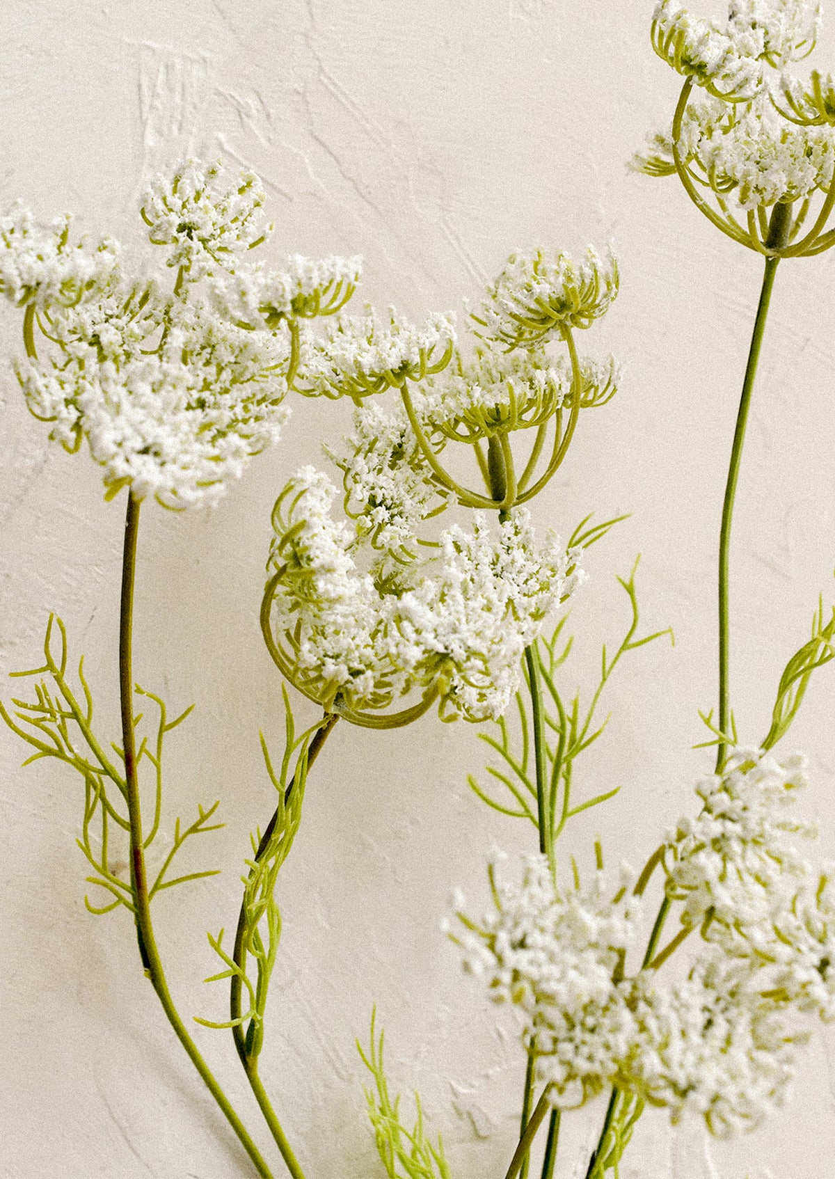 Faux Queen Anne