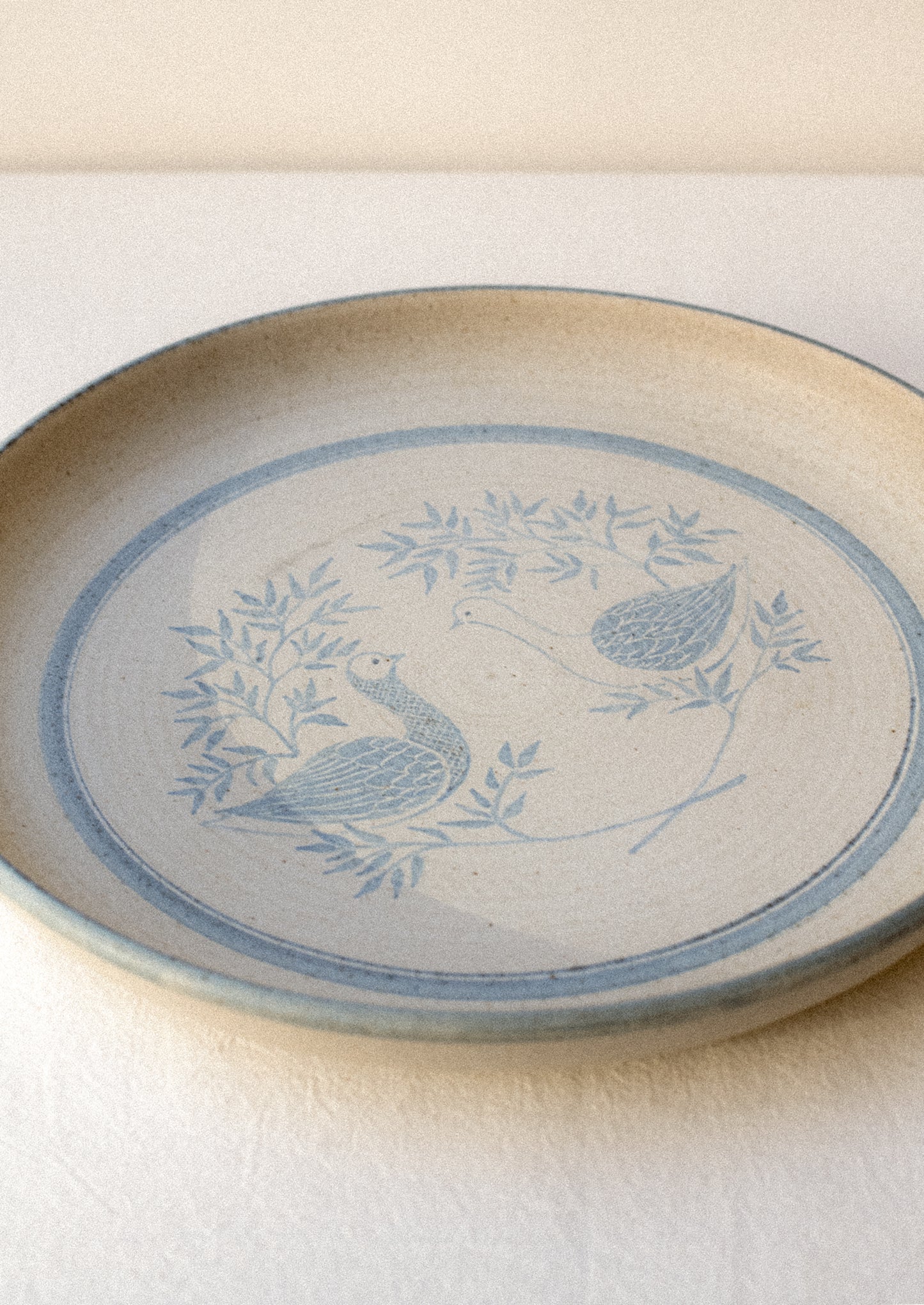 Ceramic plate with blue bird design on a beige background.