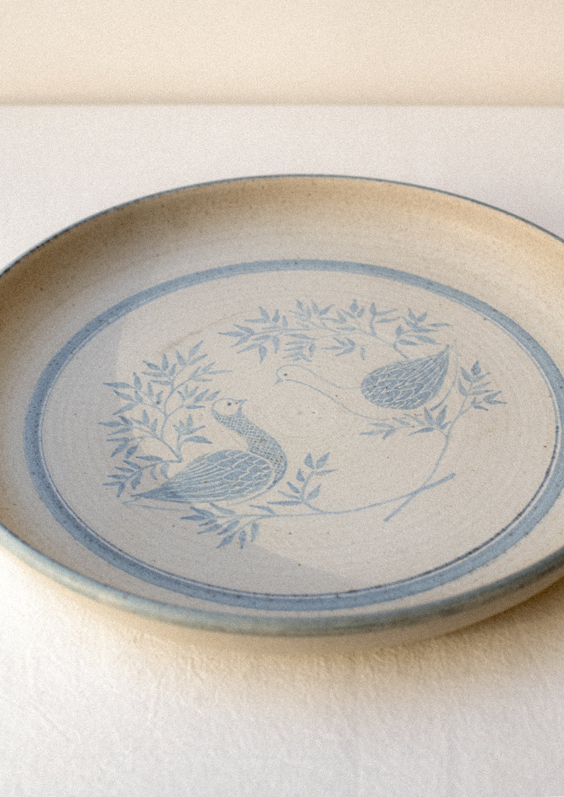 Ceramic plate with blue bird design on a beige background.