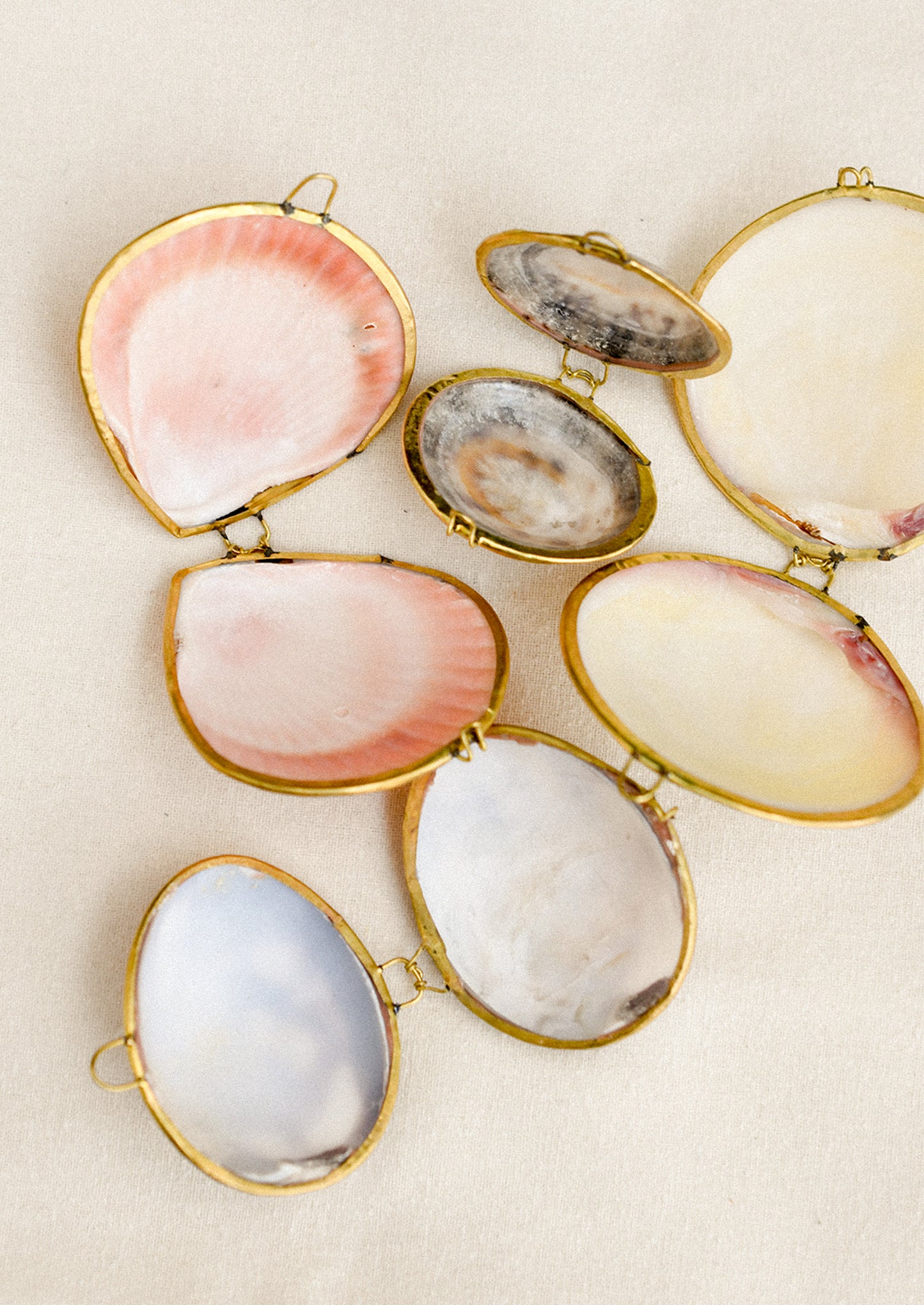 Set of decorative shell-shaped jewelry boxes with gold frames on a beige background