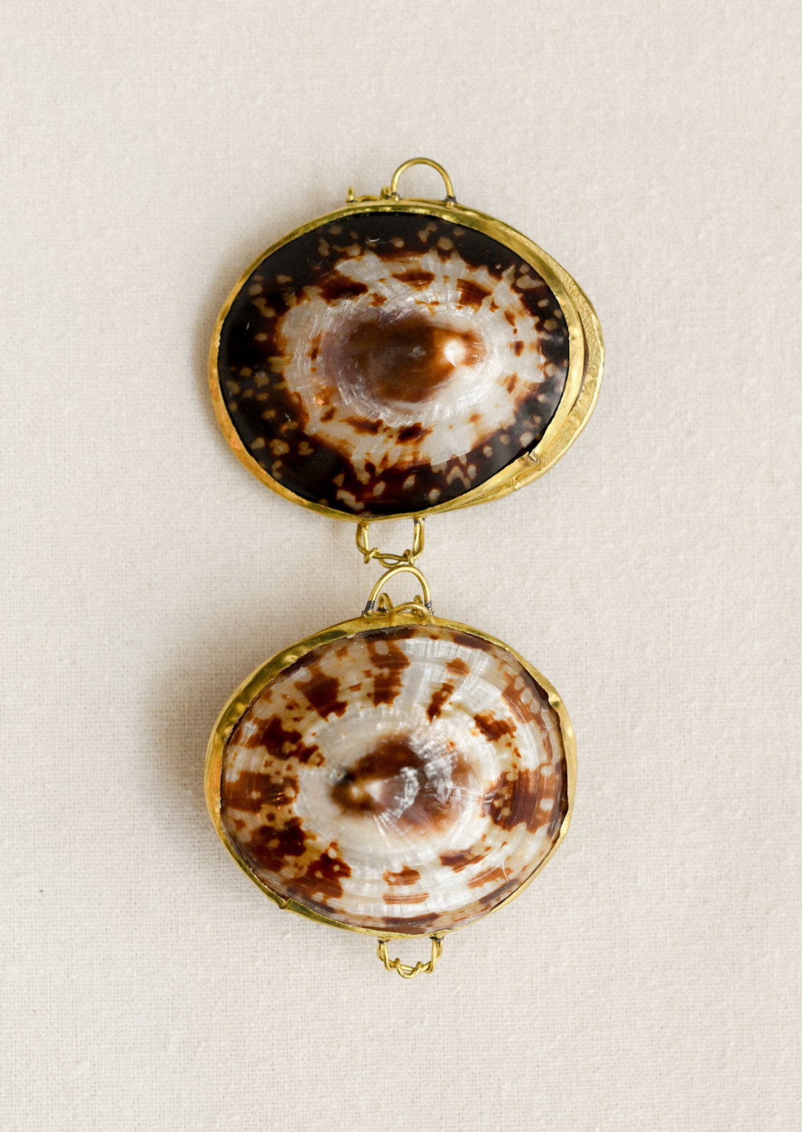 Decorative brown limpet shell trinket boxes.