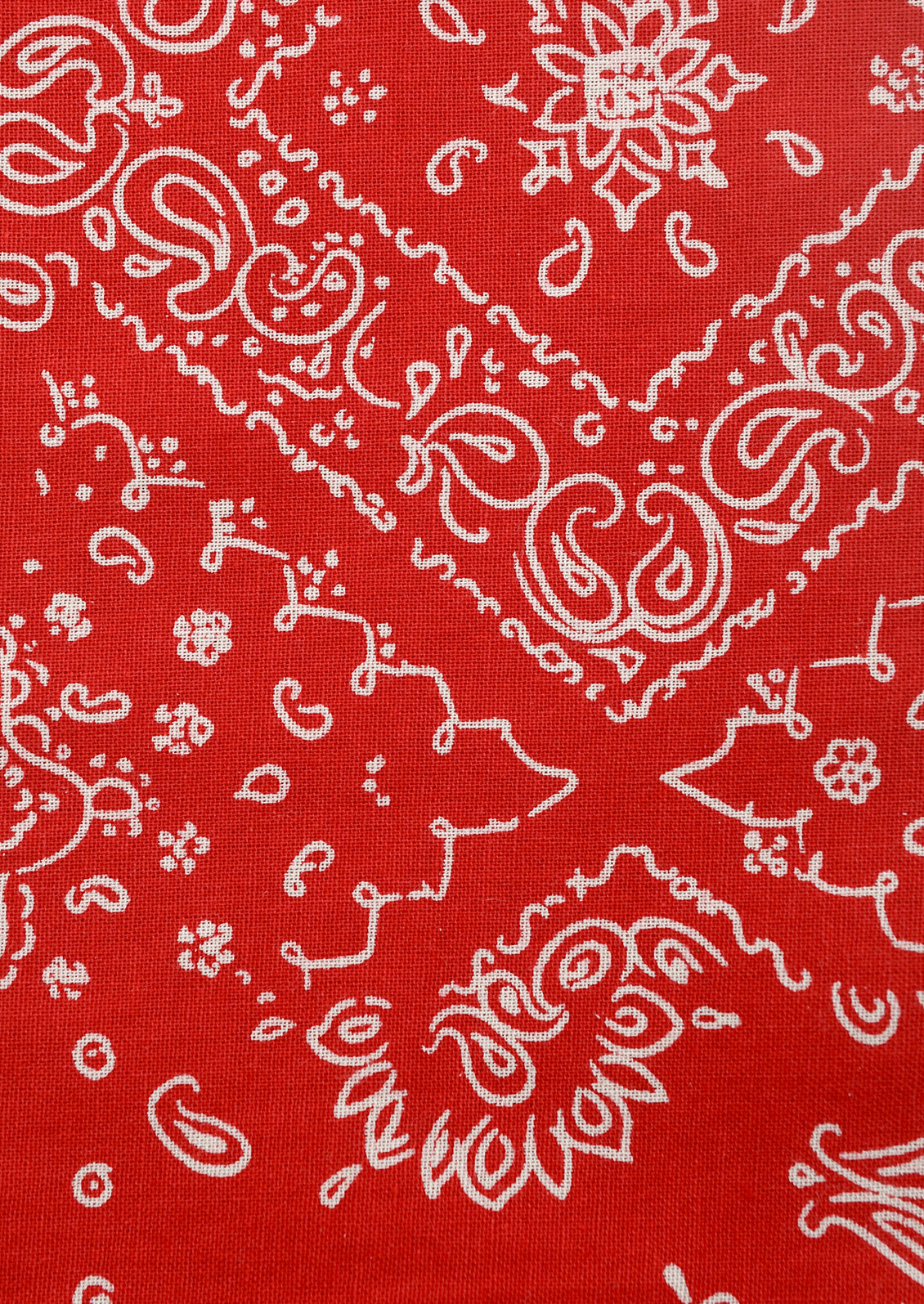 A pair of napkins in red with white bandana pattern.