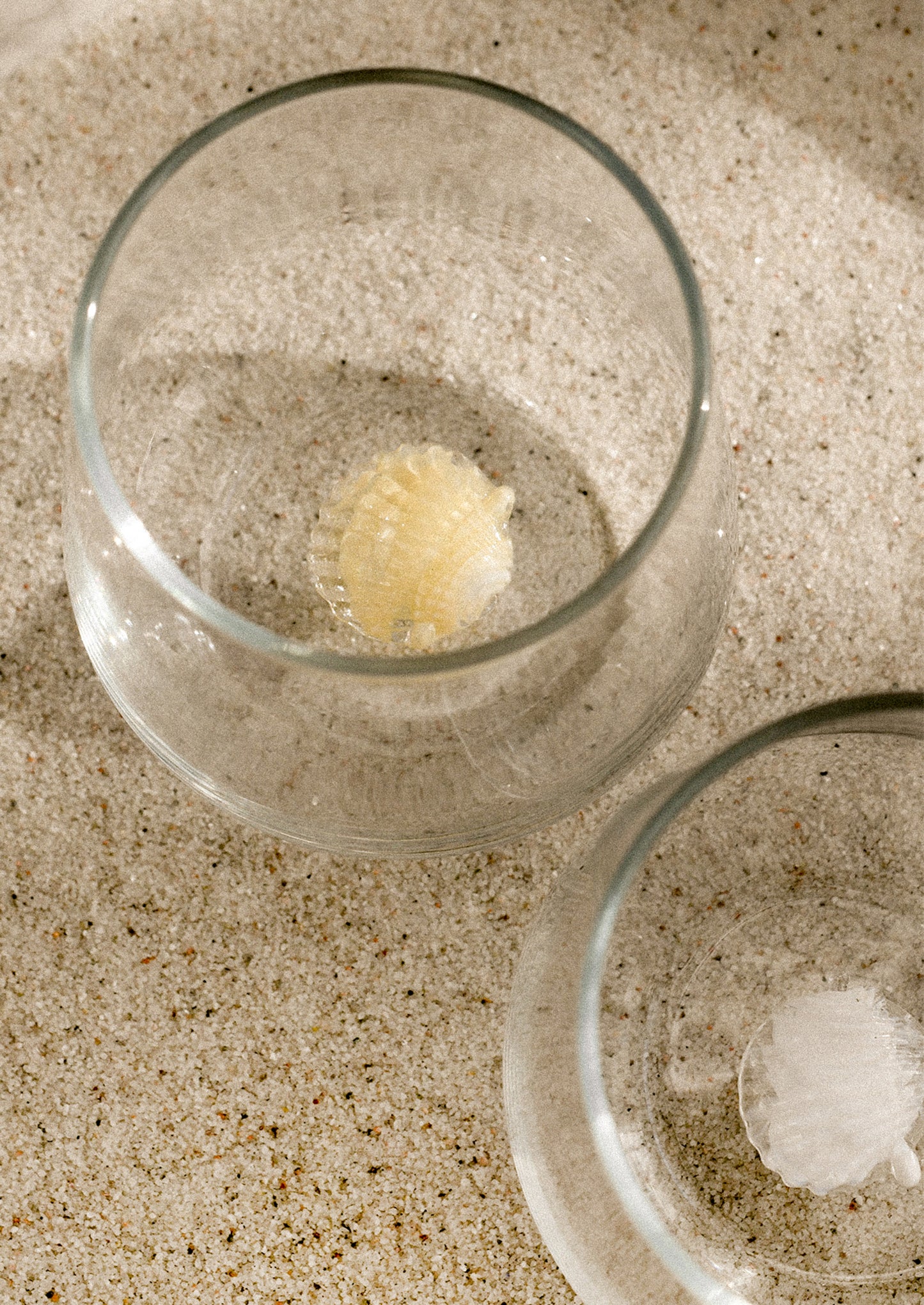 A clear stemless glass with three-dimensional shell detail at bottom of glass.