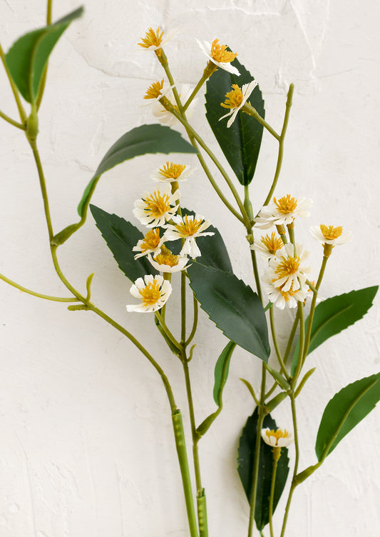 Artificial plant with green leaves and yellow-white flowers on a white background