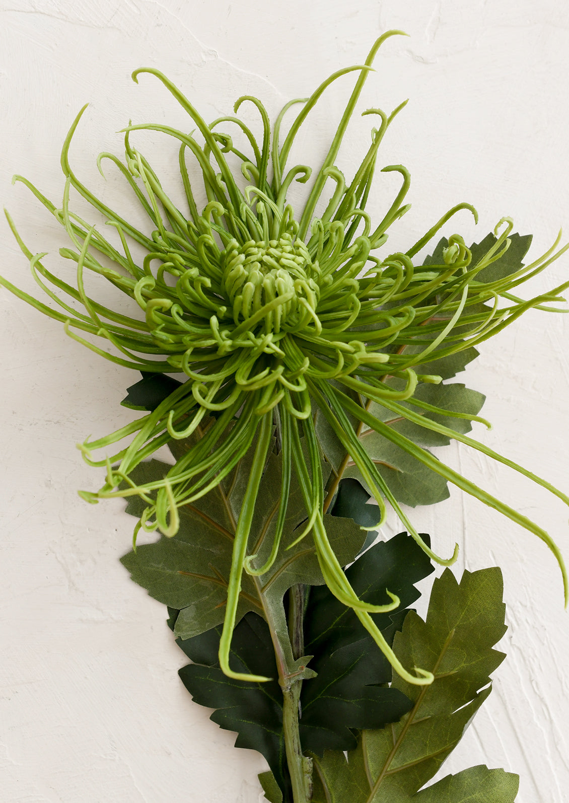 Artificial green flower on a white background