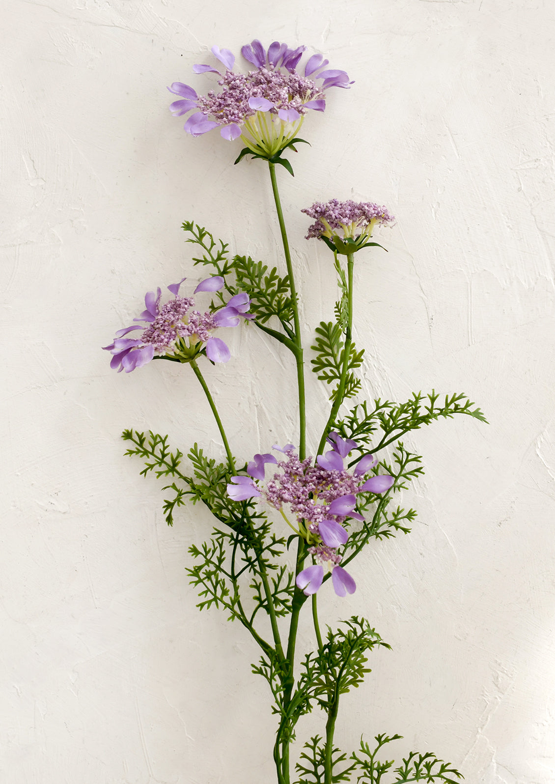 Purple flowers with green stems on a light beige background