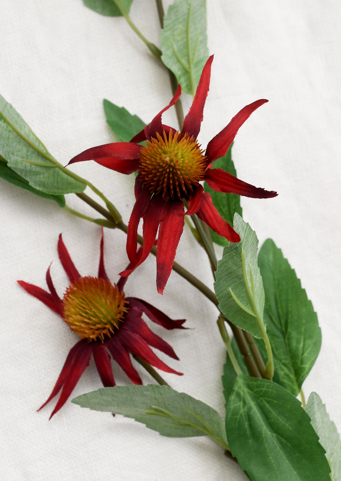 Two red flowers with green leaves on a white background