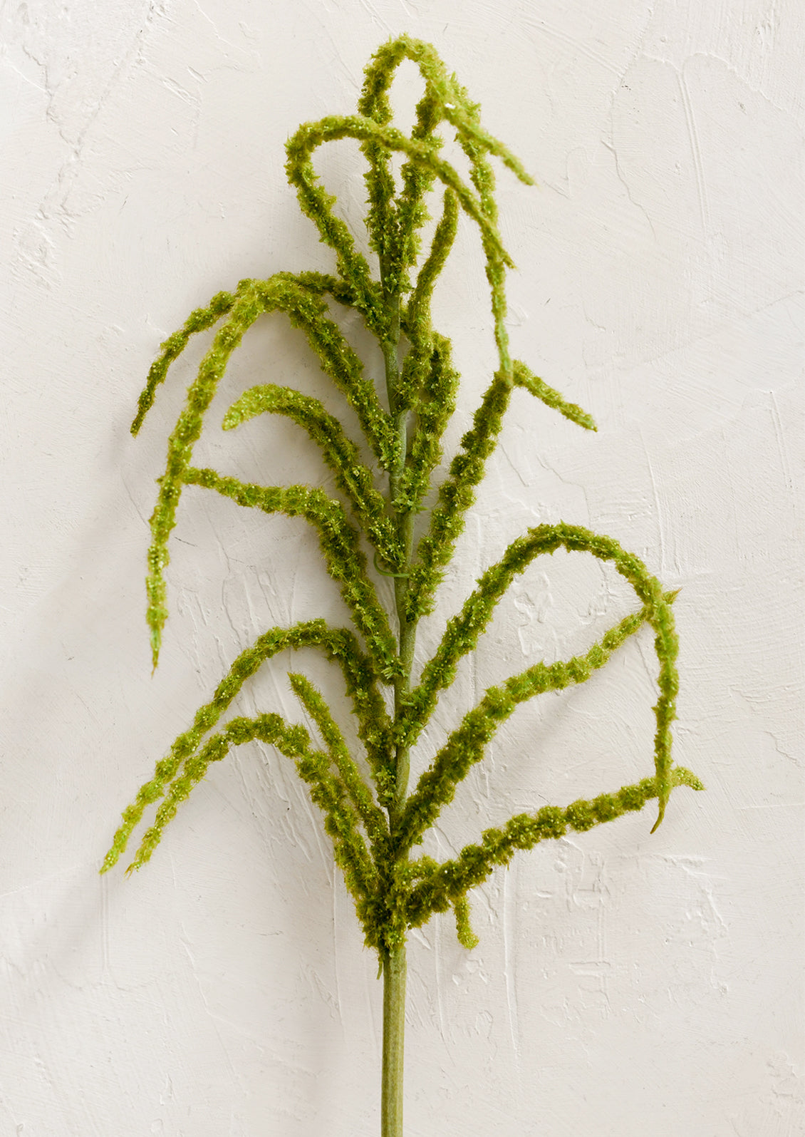 Faux Amaranthus Stem in green.