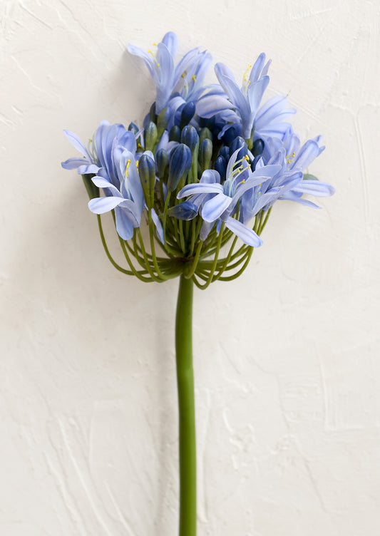 Faux Agapanthus Stem