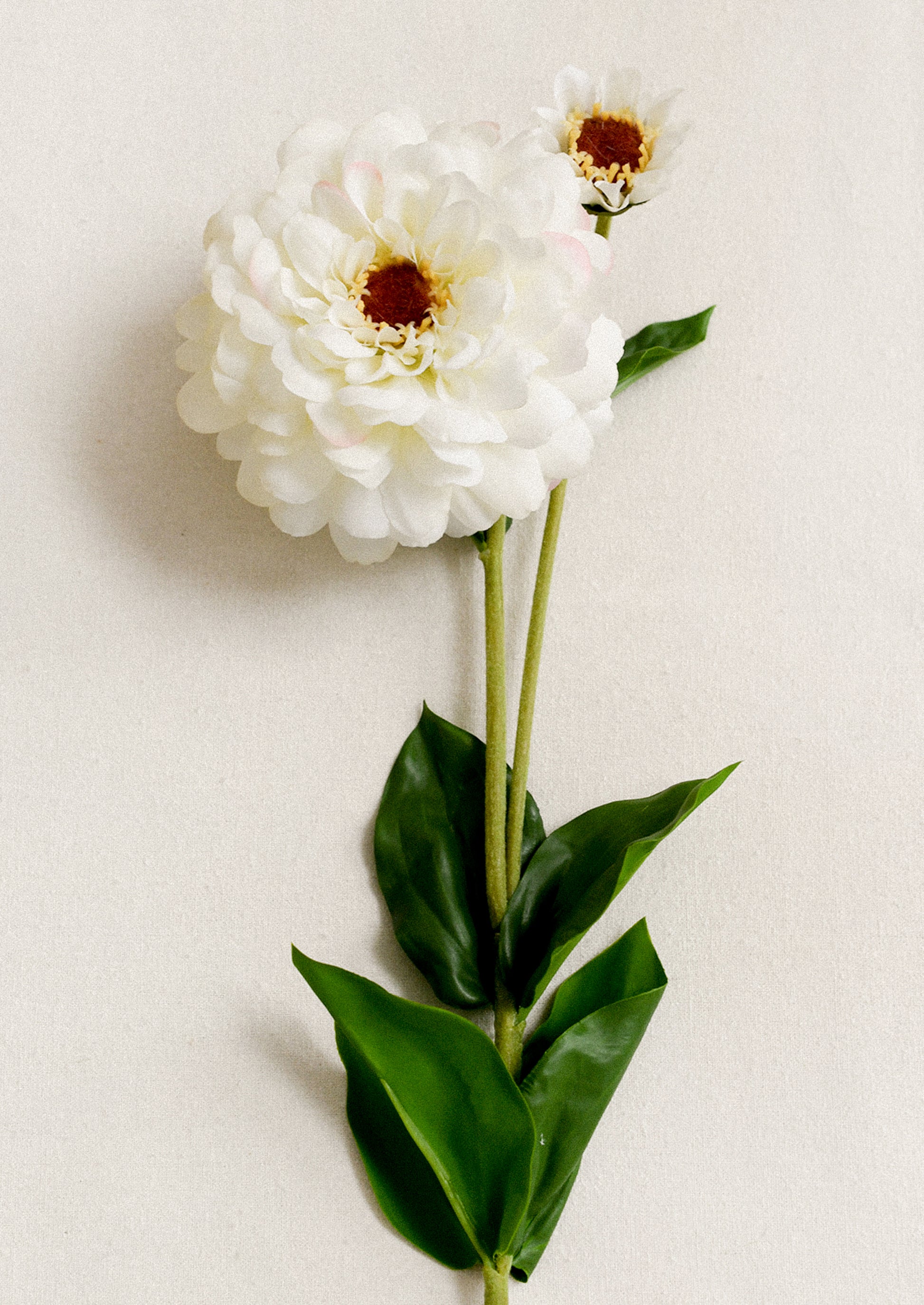 Faux Blooming Zinnia Stem in white.