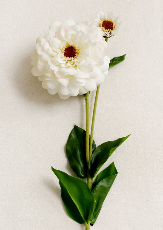 Faux Blooming Zinnia Stem in white.