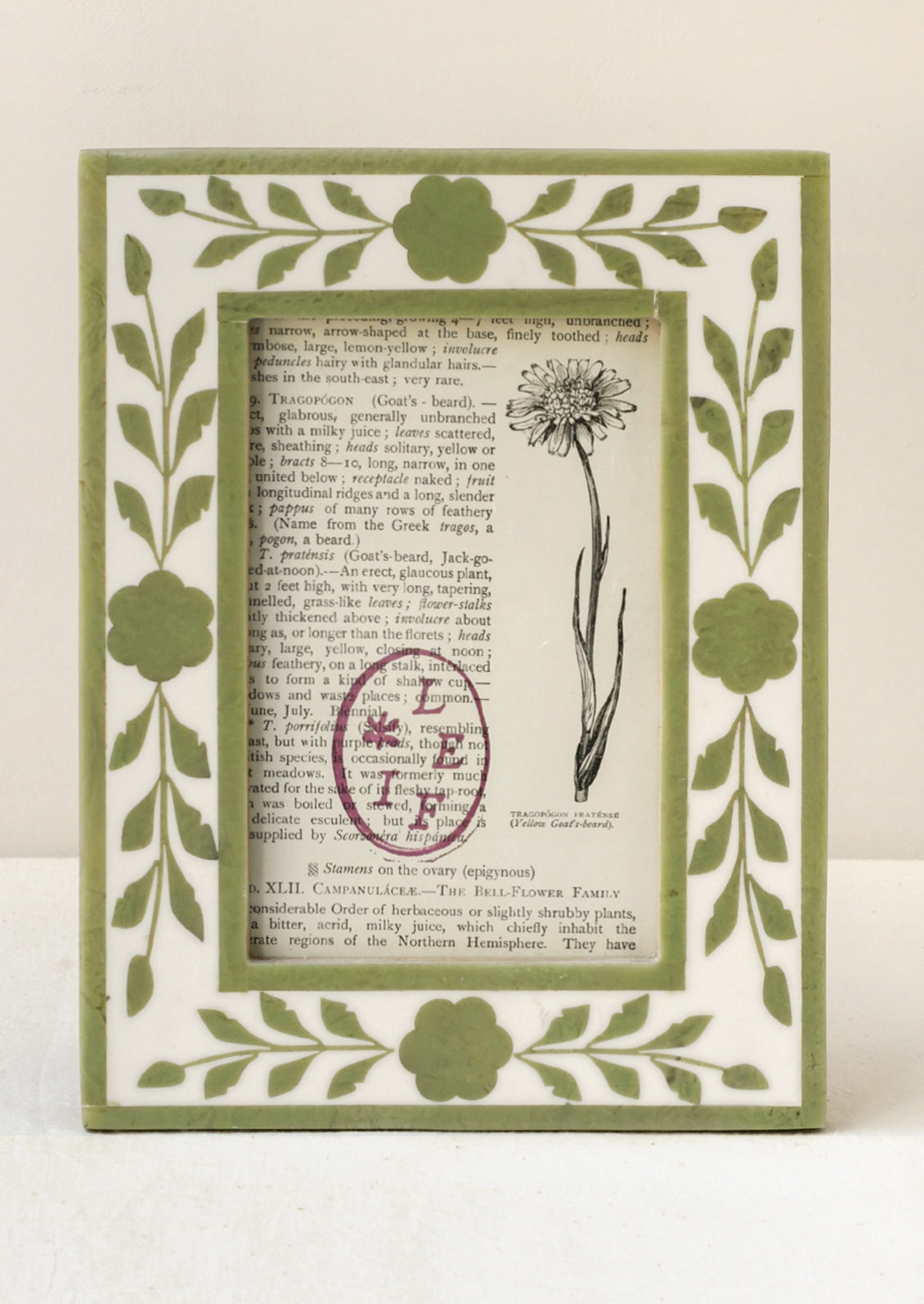 A 4" x 6" picture frame with a green floral design.