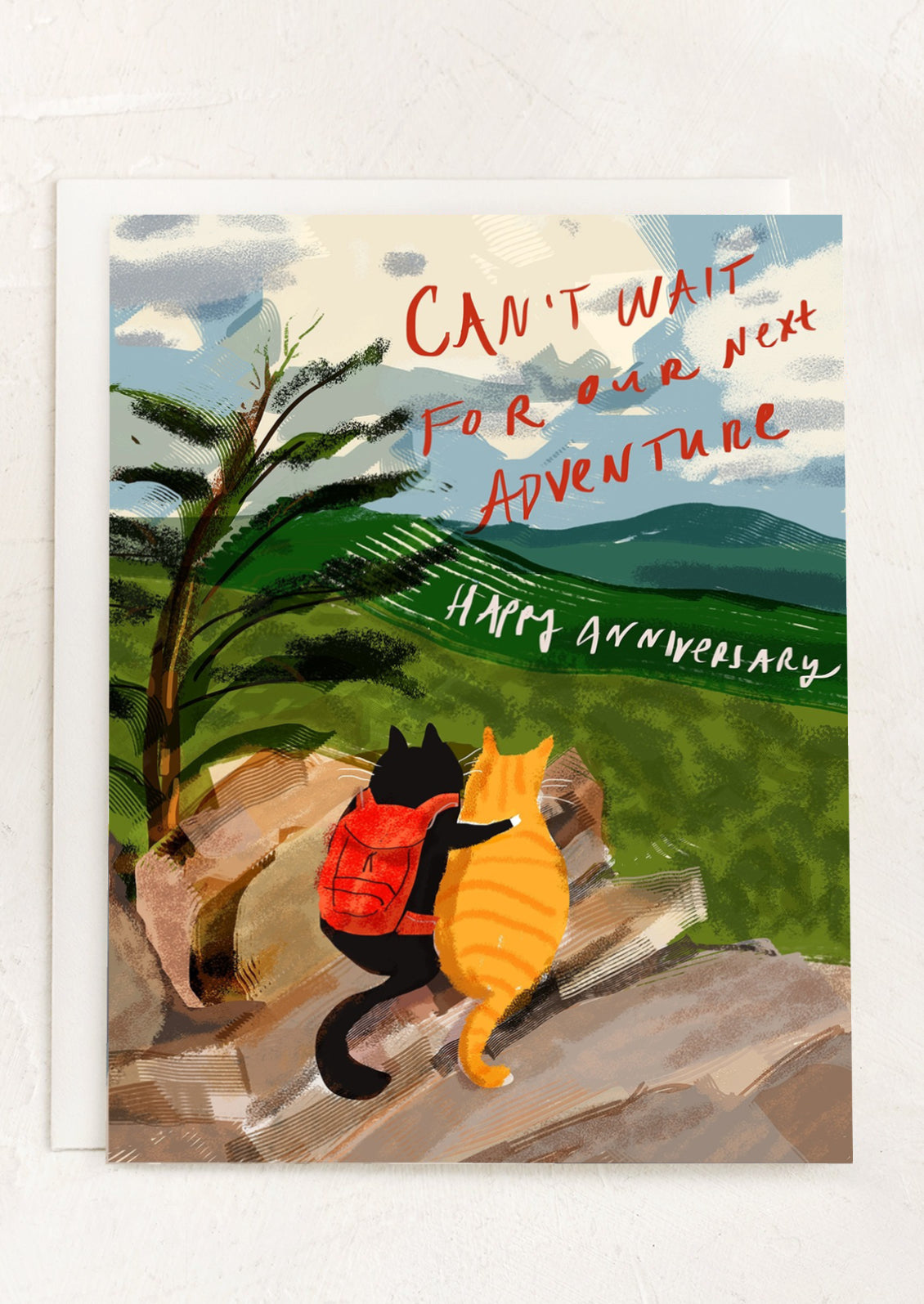 An illustrated greeting card with two cats sitting on a mountaintop, text reads "Happy anniversary, can't wait for our next adventure".