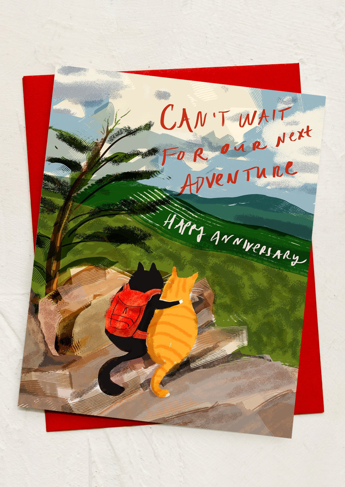 An illustrated greeting card with two cats sitting on a mountaintop, text reads "Happy anniversary, can't wait for our next adventure".