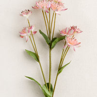 1: A faux flora spray of armeria flower in peach pink.