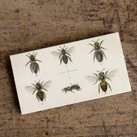 2: Bee illustration on a matchbox.