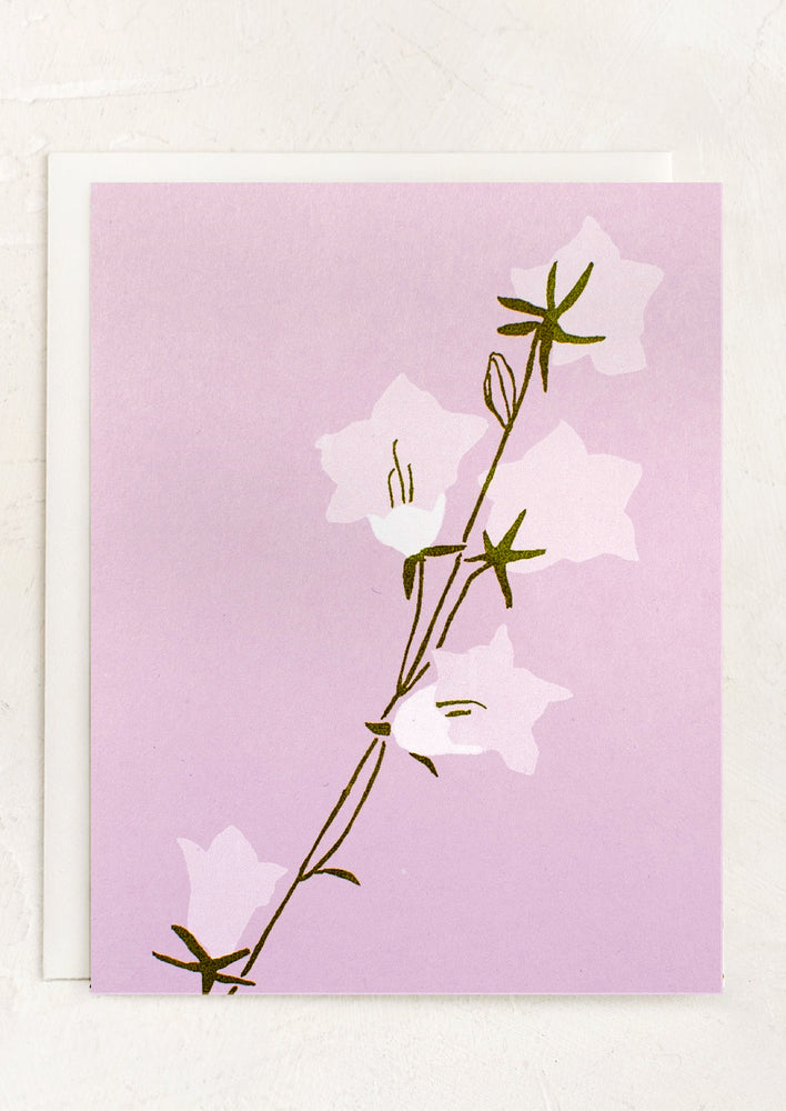A purple card with bellflower