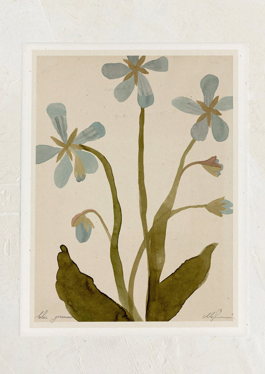 An art print of an illustration of blue geranium in watercolor.