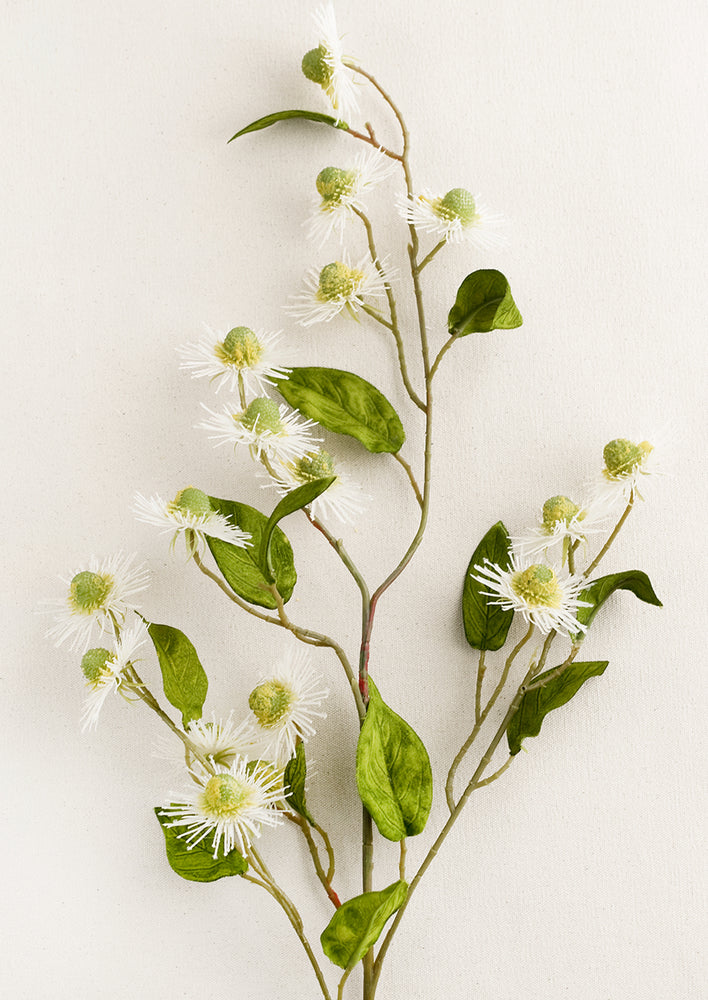 1: A faux flora spray of white buttonbush flower.