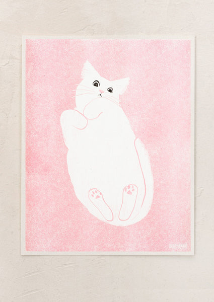 catonglass_841a43b1-205c-41d5-