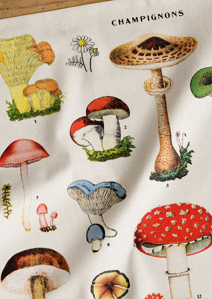 A set of four cotton dinner napkins with colorful mushroom species botanical print.