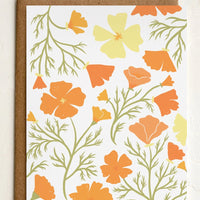 Orange Cosmos: A blank greeting card with cosmos illustration.