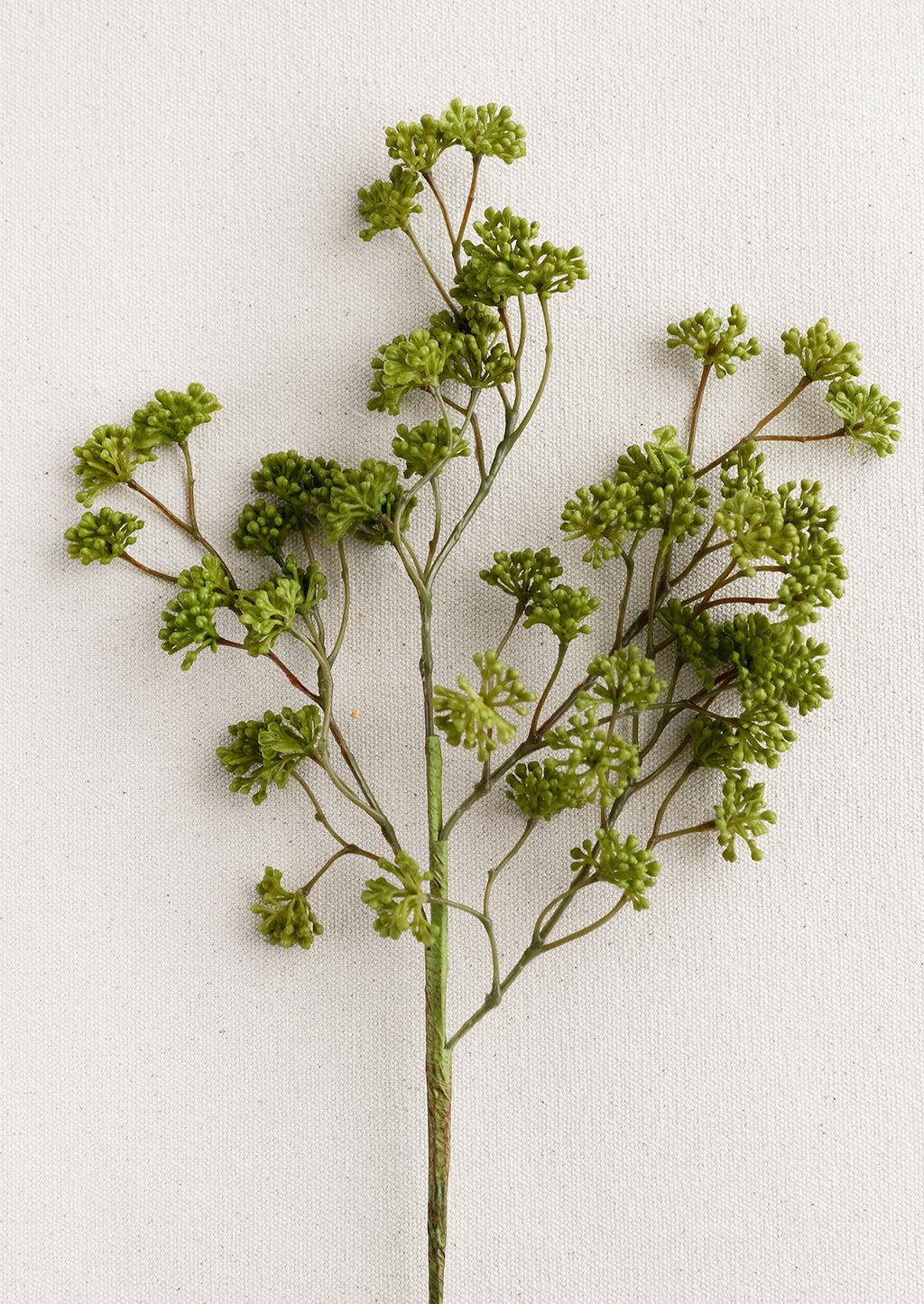 Spring Green: A faux sedum branch with dainty buds in green.