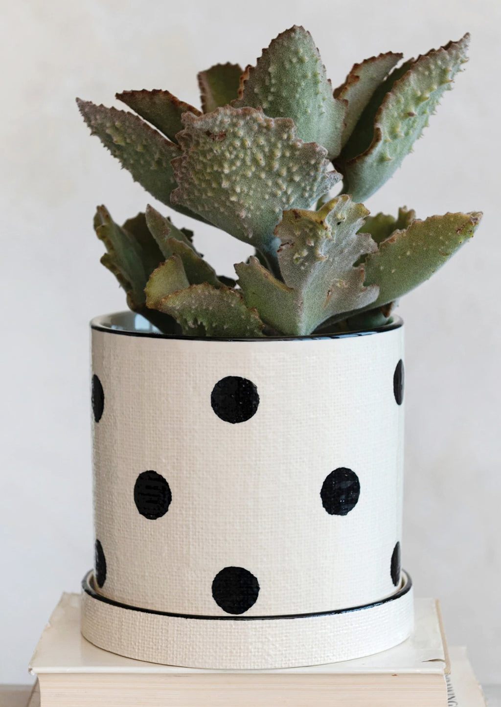 1: A polka dot ceramic planter in white with black dots, linen texture.