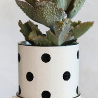 1: A polka dot ceramic planter in white with black dots, linen texture.