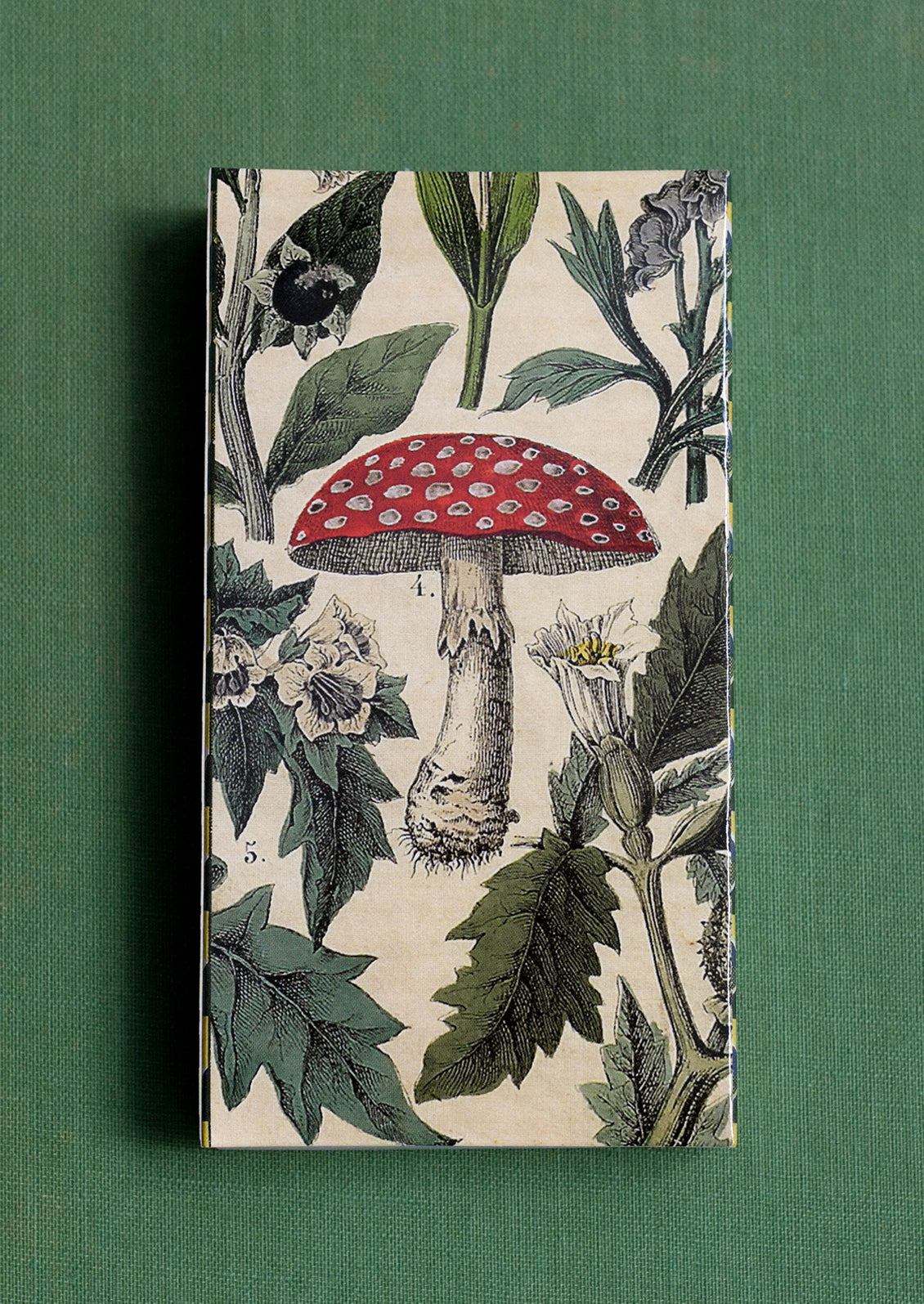 A matchbox with mushroom design.