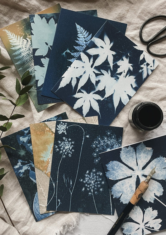 Set of botanical prints on paper with a ink bottle and scissors on a textured surface.