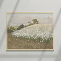 2: An antique inspired art print depicting a field of white flowers.