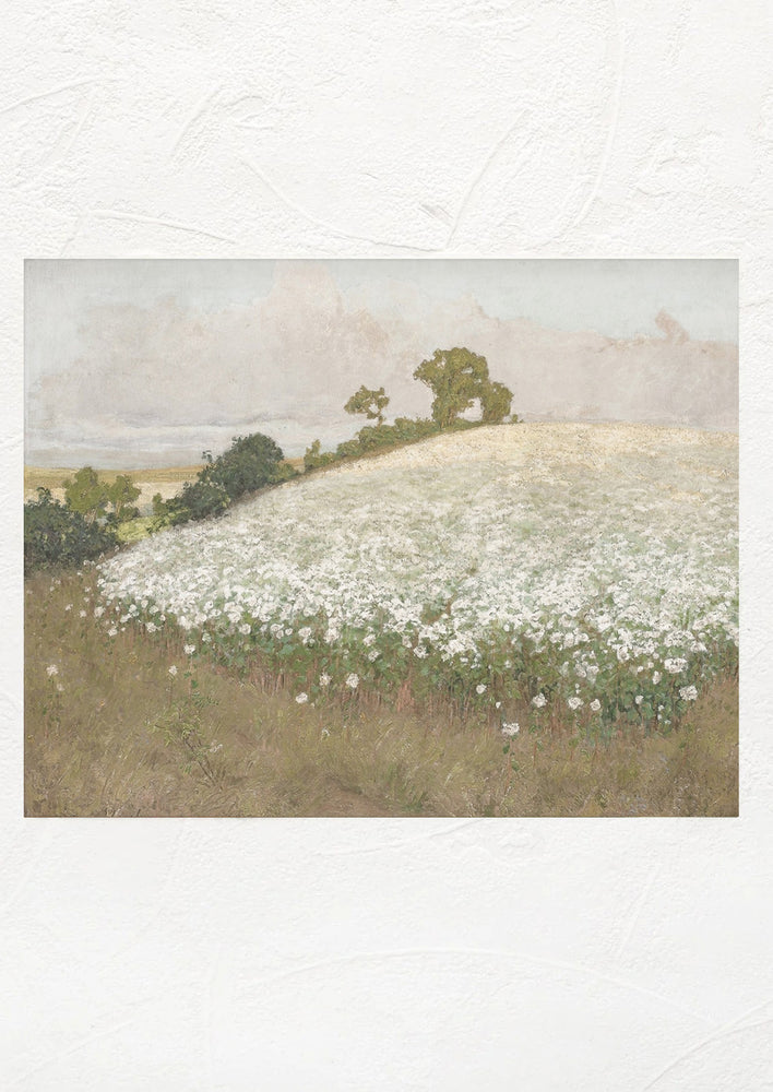 An antique inspired art print depicting a field of white flowers.