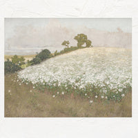1: An antique inspired art print depicting a field of white flowers.