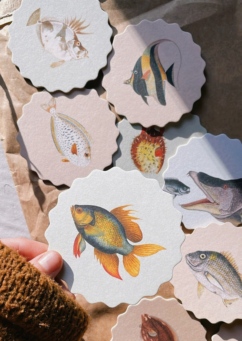 6: A set of scalloped edge paper coasters with 10 different fish prints.