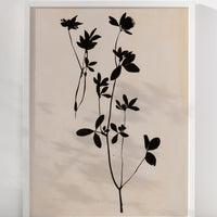 2: An art print of black silhouetted flower on beige background,framed.