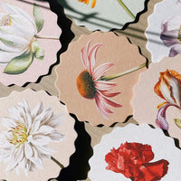 Flowers: A set of scalloped edge paper coasters with 10 different flower prints.