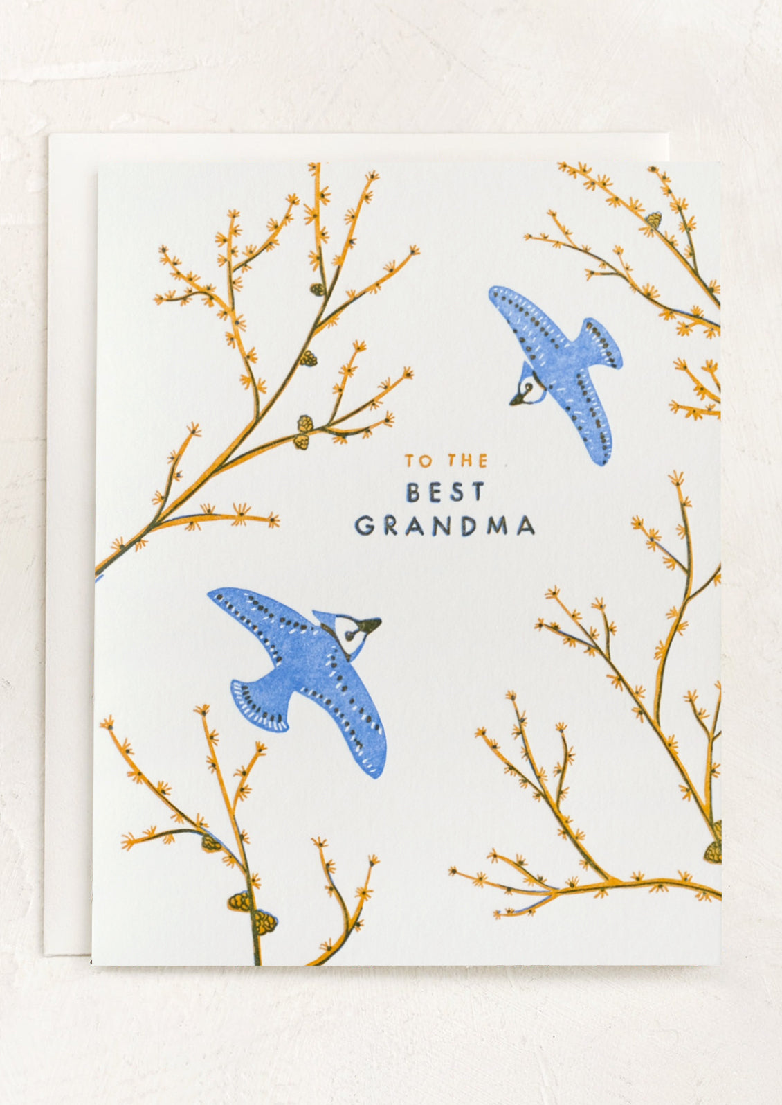 Greeting card with blue birds and branches, featuring the text 'To the best grandma'.