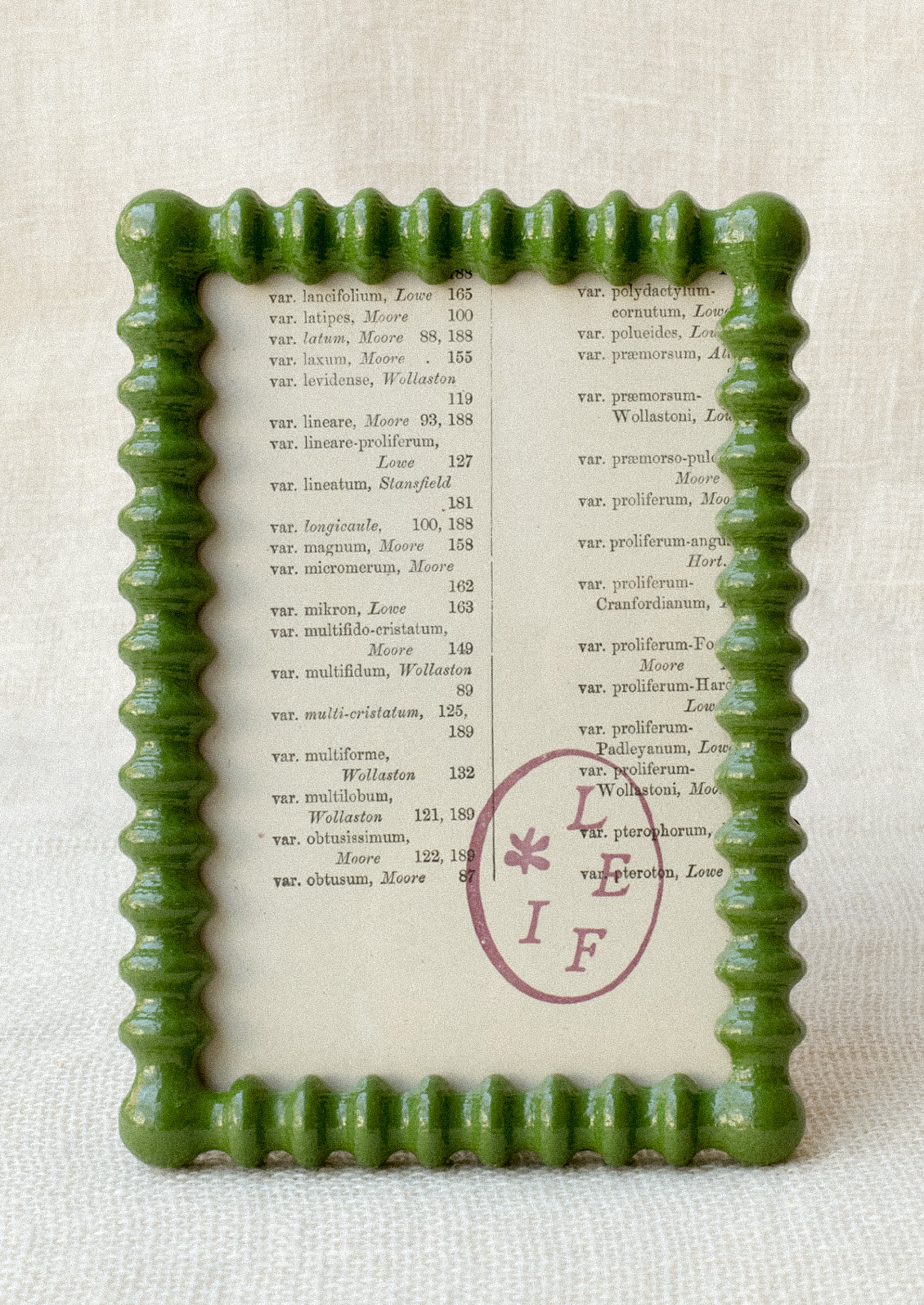 Lacquered Picture Frame