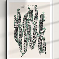 2: An antique inspired print with graphic "beans" design.